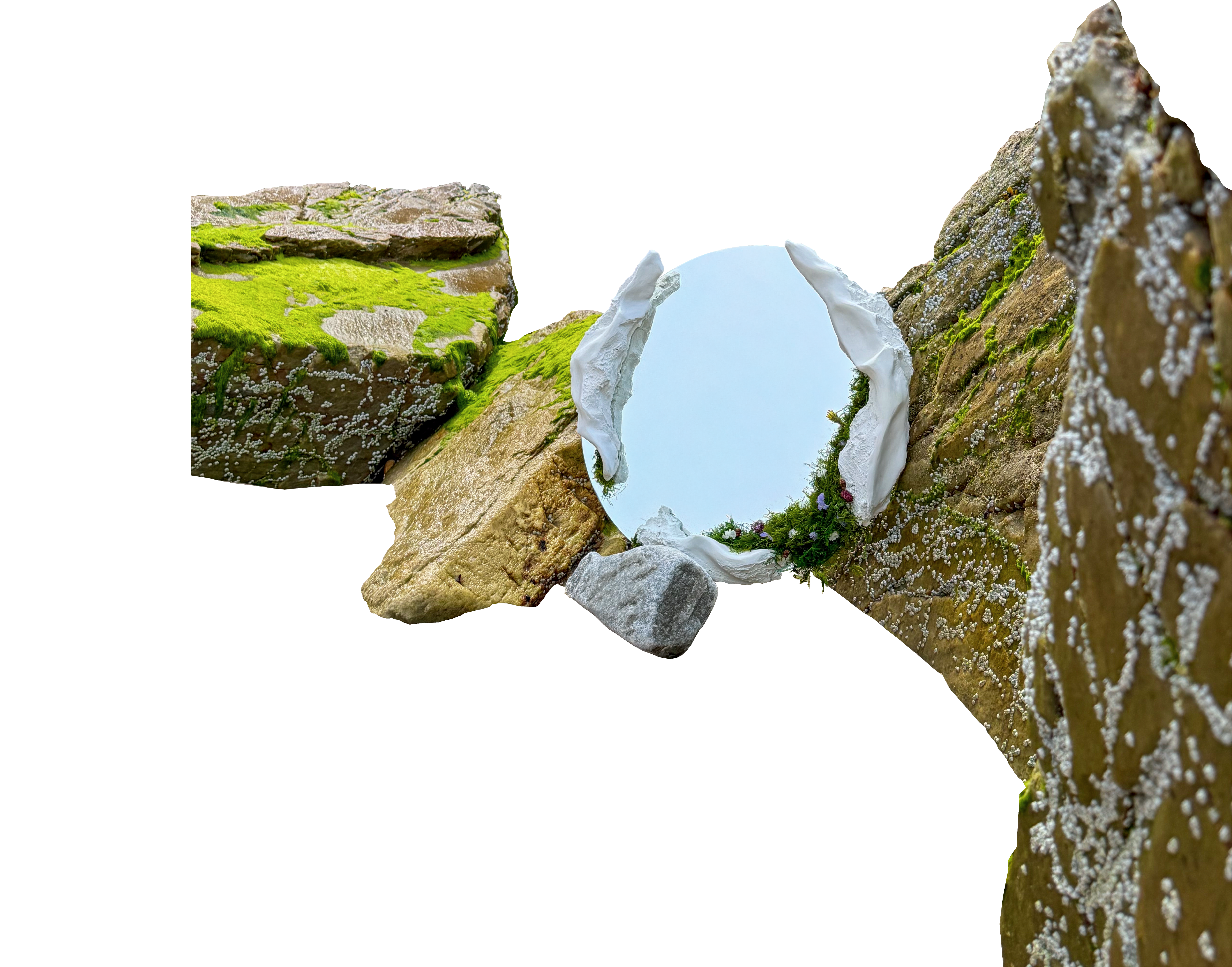 Circular mirror framed by white biomorphic fragments and moss, set among barnacled coastal rocks