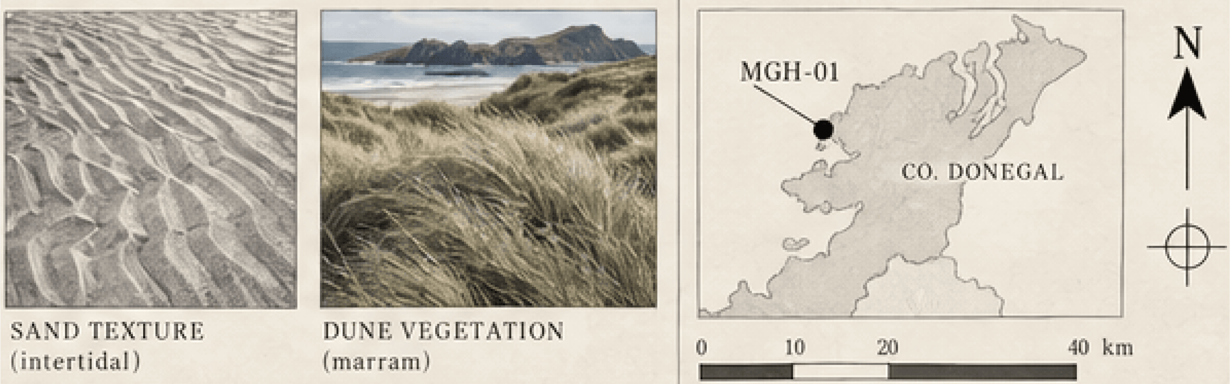 Field notes: intertidal sand texture, marram dune vegetation, and a map of Co. Donegal marking site MGH-01